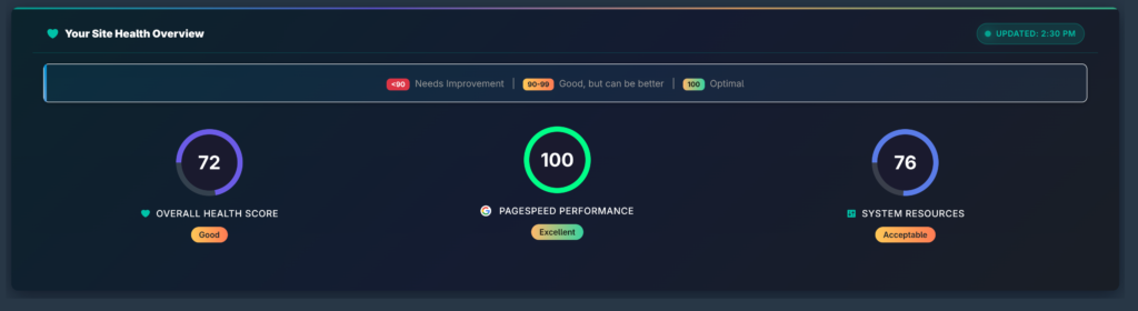 PageSpeed Performance widget showing 100 score with neon green optimal gauge